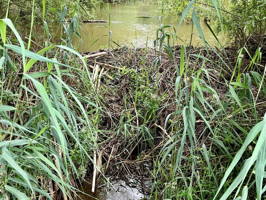 Voedselbos Ketelbroek 5-7-24 v4